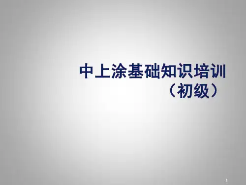 涂料基础知识介绍ppt课件