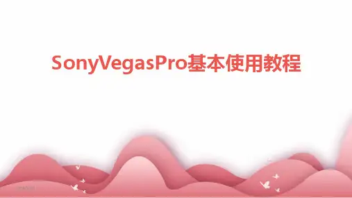 2024年SonyVegasPro基本使用教程