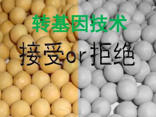 转基因技术利与弊