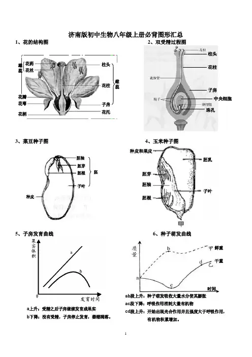 济南版初中生物八年级上、下册(全一册)必背图形汇总(最全、最细、适合打印)