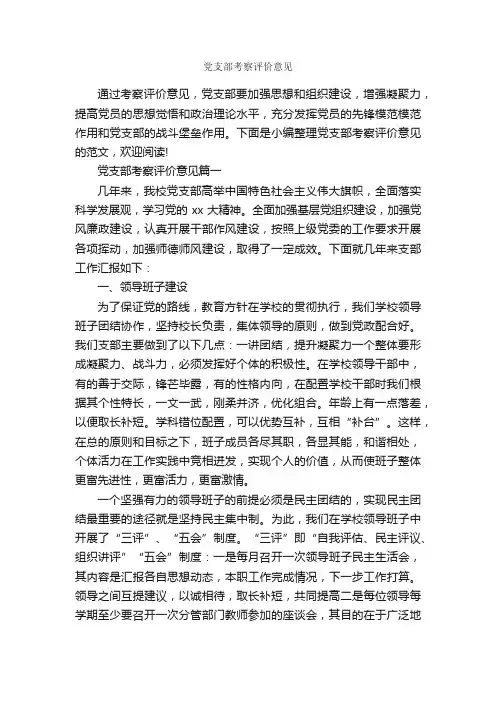 党支部考察评价意见
