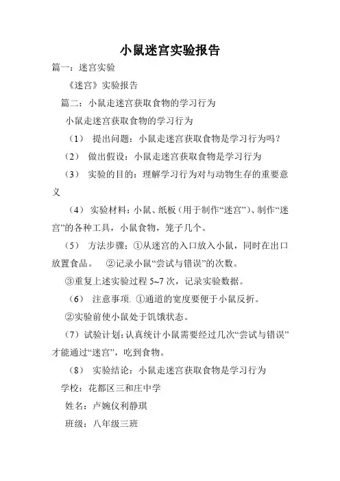 小鼠迷宫实验报告.doc