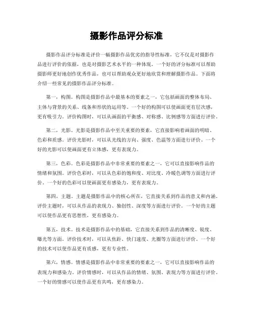 摄影作品评分标准