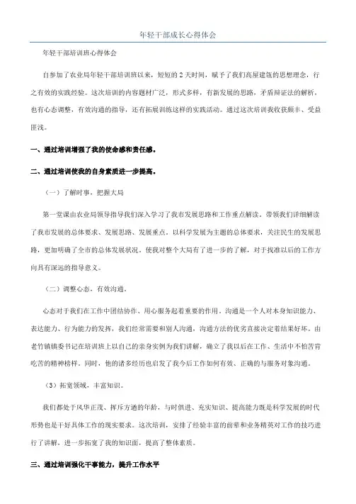 年轻干部成长心得体会