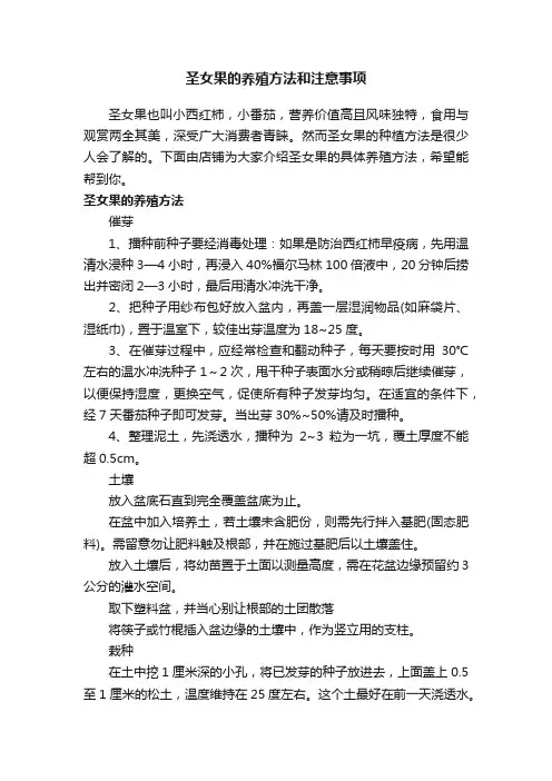 圣女果的养殖方法和注意事项