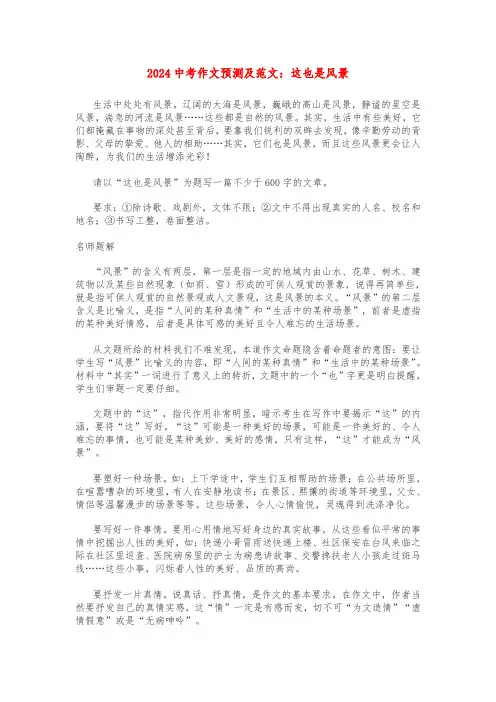 2024中考作文预测及范文：这也是风景