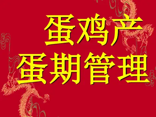 蛋鸡产蛋期管理(幻灯片)