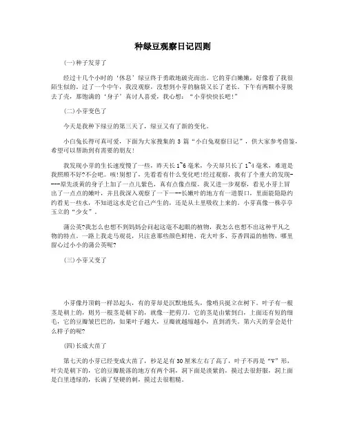 种绿豆观察日记四则