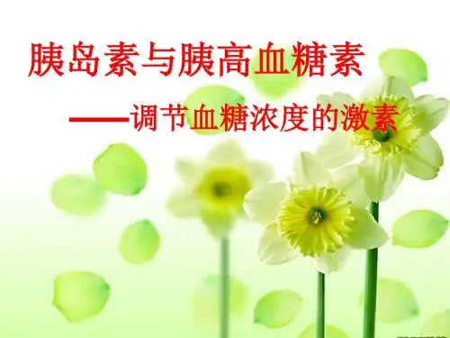 高中生物血糖调节 课件新人教版必修3