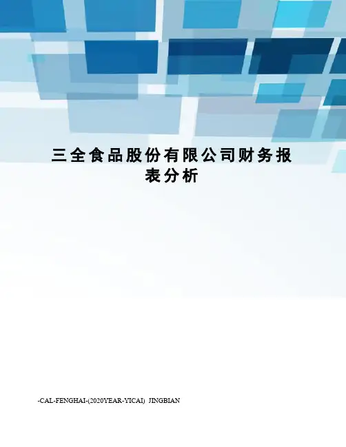 三全食品股份有限公司财务报表分析