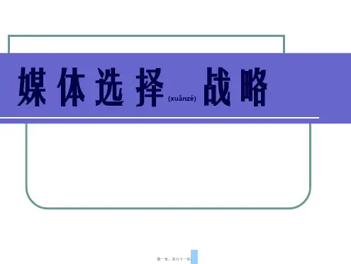 广告媒体选择战略(PPT)