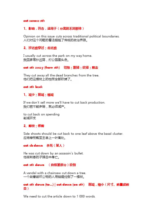 cut 相关的短语动词或动词词组
