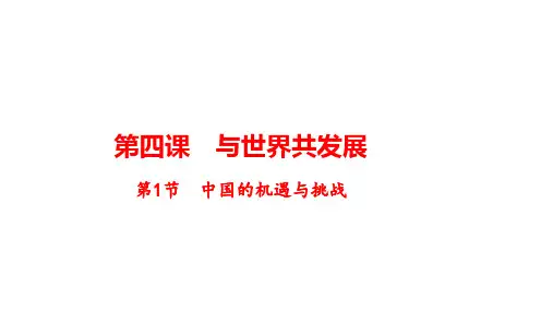 中国的机遇与挑战课件道德与法治九年级下册