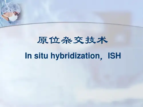 细胞生物学技术课件2015原位杂交