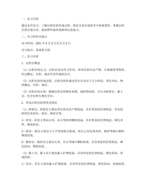 常见的沉积岩实习报告