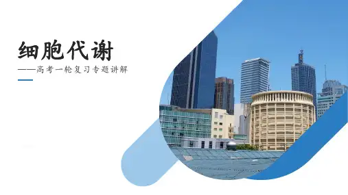 B-高中生物一轮复习——细胞代谢 (共46张PPT)