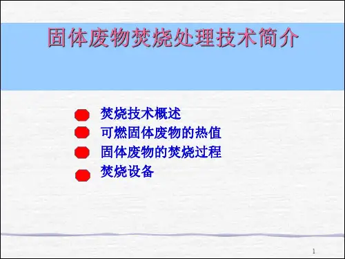 固体废弃物处理系列PPT (4)