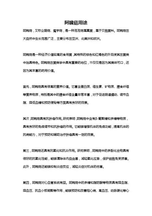阿魏菇用途