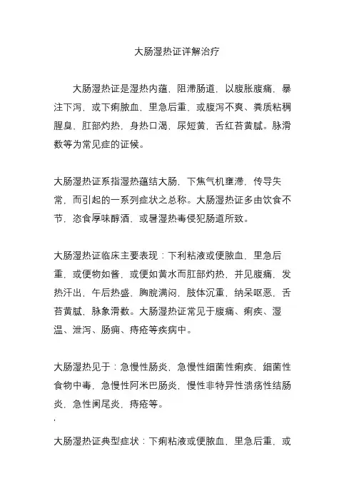 大肠湿热证详解治疗