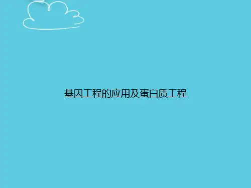 基因工程的应用及蛋白质工程精选PPT