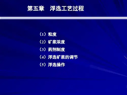 第五章 浮选工艺过程