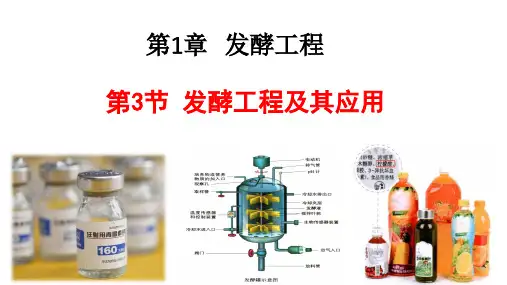 发酵工程及其应用-高二生物课件(人教版2019选择性必修3)