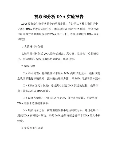 提取和分析DNA实验报告