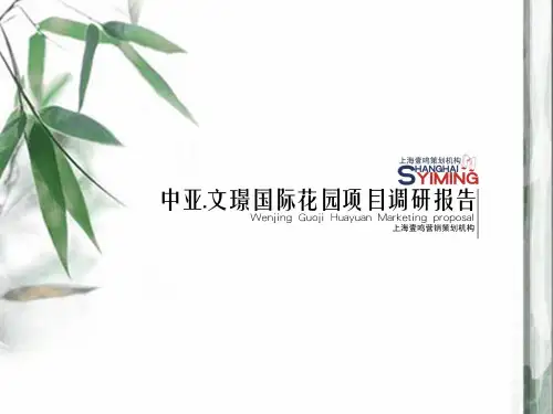 江苏宿迁市中亚文璟国际花园项目调研报告51P