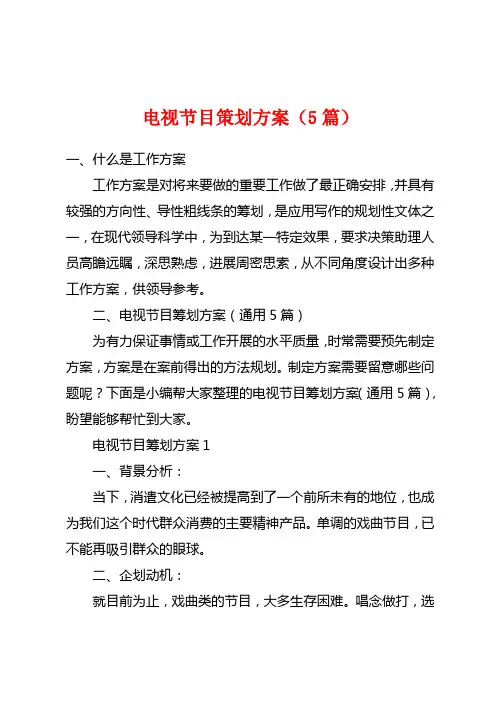 电视节目策划方案(5篇)