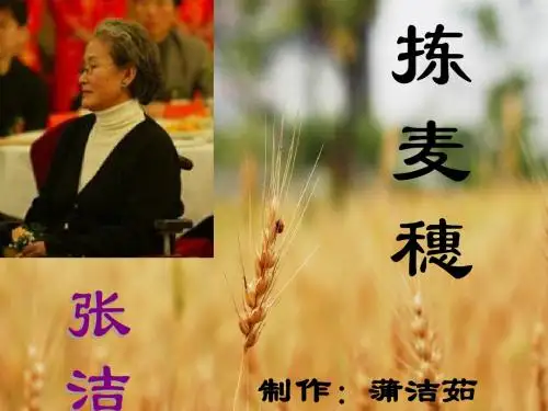 《拣麦穗》课件