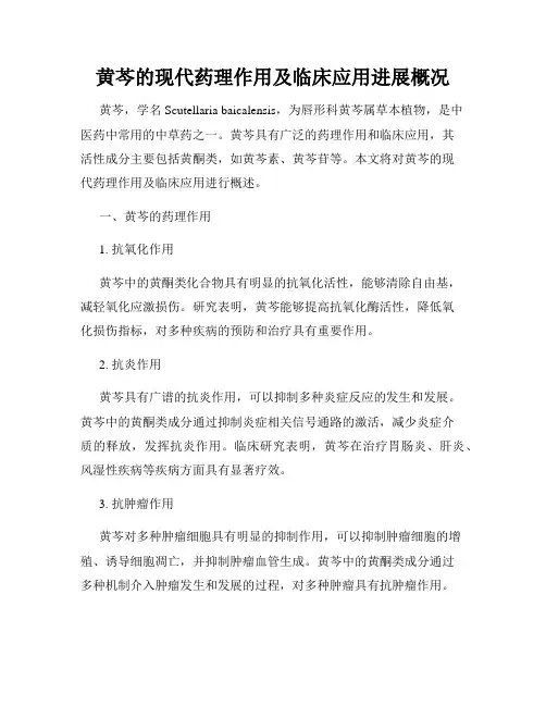 黄芩的现代药理作用及临床应用进展概况