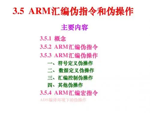 6-arm3伪指令