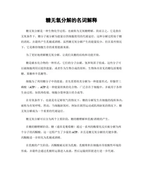 糖无氧分解的名词解释