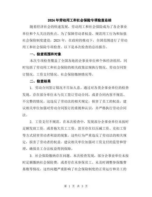 2024年劳动用工和社会保险专项检查总结