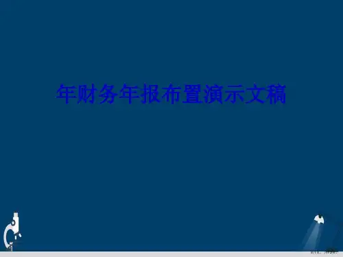 年财务年报布置演示文稿