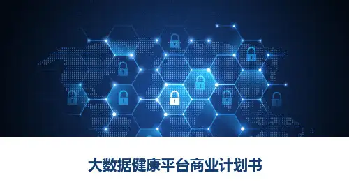 2019大数据健康平台商业计划书