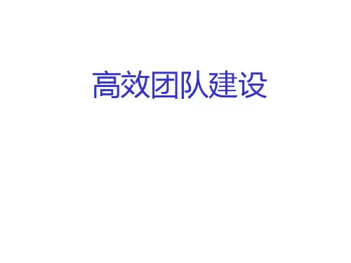 高效团队建设 培训PPT课件