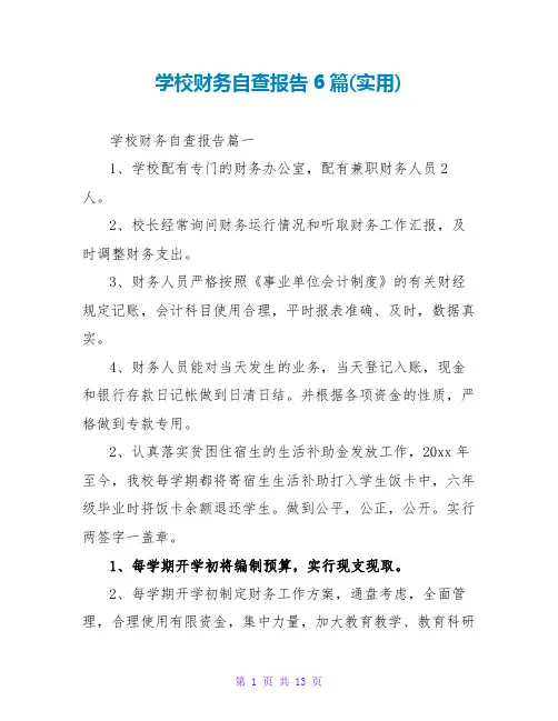 学校财务自查报告6篇(实用)