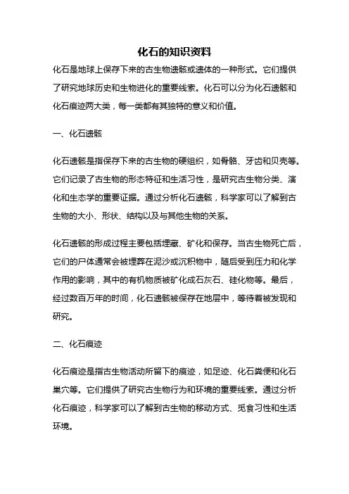 化石的知识资料