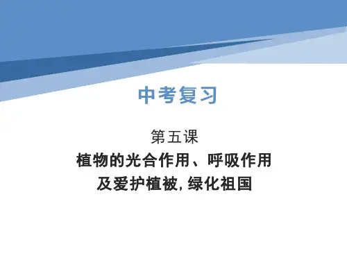 专题 绿色植物的光合作用与呼吸作用-2022年中考生物二轮复习课件