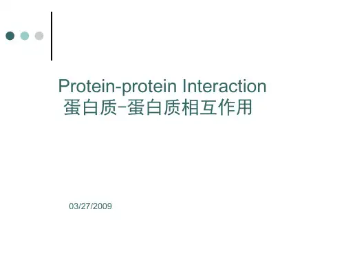 蛋白质相互作用