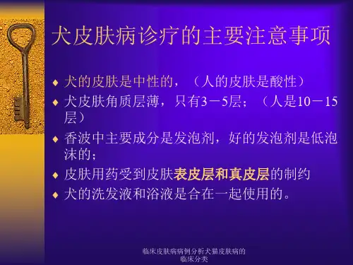 临床皮肤病病例分析犬猫皮肤病的临床分类课件