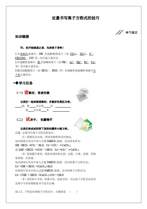 定量书写离子方程式的技巧