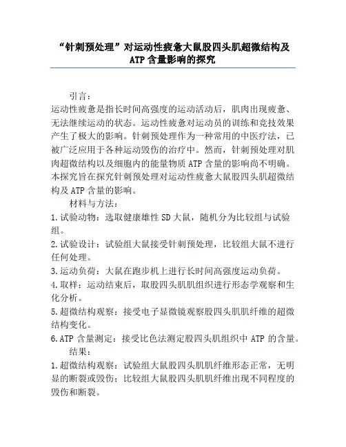 “针刺预处理”对运动性疲劳大鼠股四头肌超微结构及ATP含量影响的研究