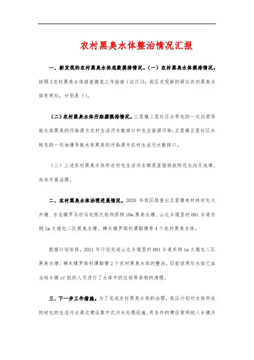 农村黑臭水体整治情况汇报
