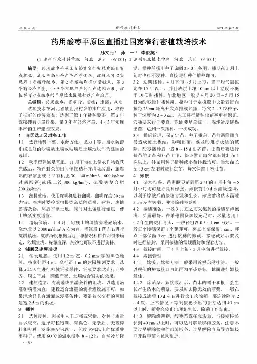 药用酸枣平原区直播建园宽窄行密植栽培技术