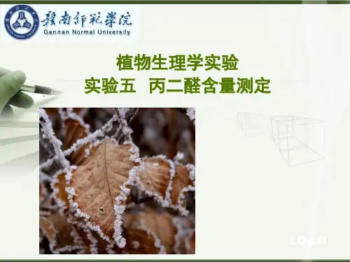 植物生理学实验：实验五 丙二醛含量测定
