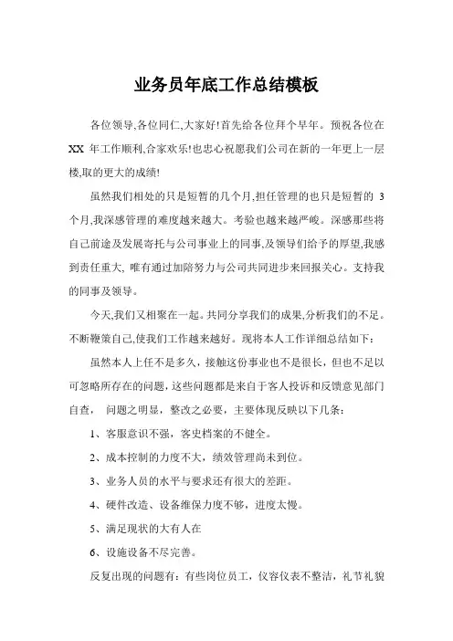 业务员年底工作总结PPT模板(完美版)