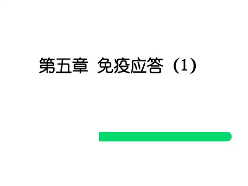 免疫学技术7-免疫应答 