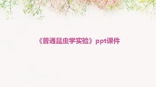 《普通昆虫学实验》课件